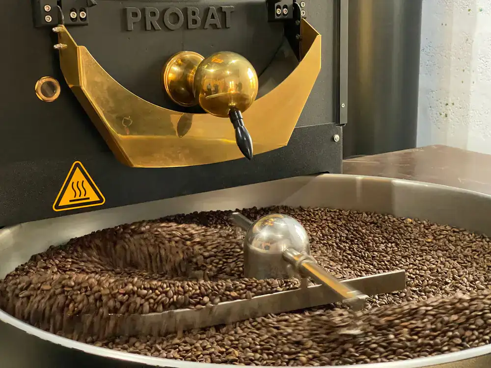 Freshly roasted coffee beans being poured into a cooling tray at the roastery
