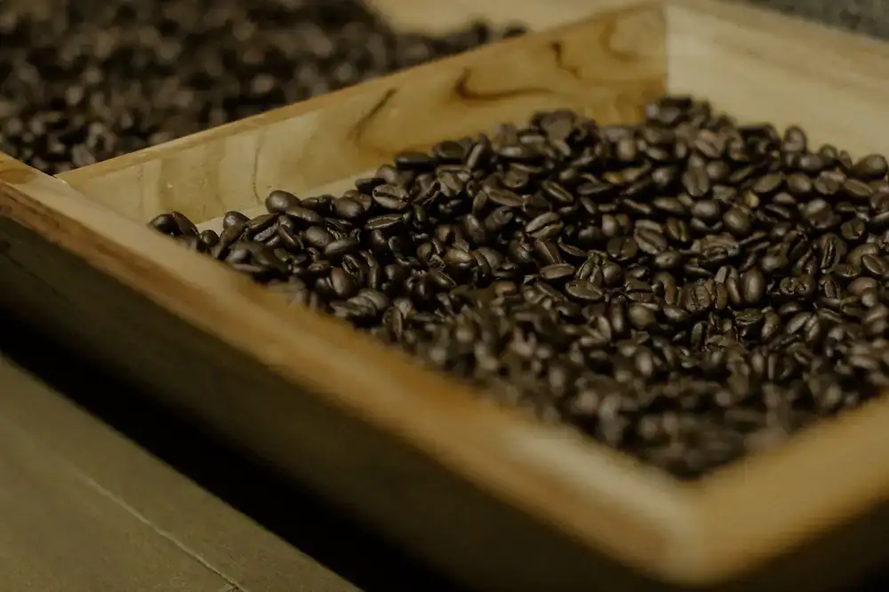 Freshly roasted coffee boxes ready for dispatch