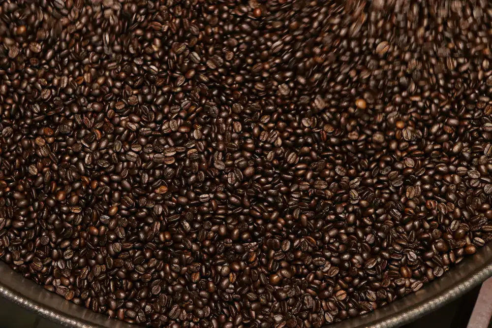 Freshly roasted coffee beans cooling