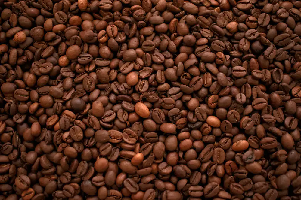 A premium Roastbird Coffee subscription box being packed with fresh beans