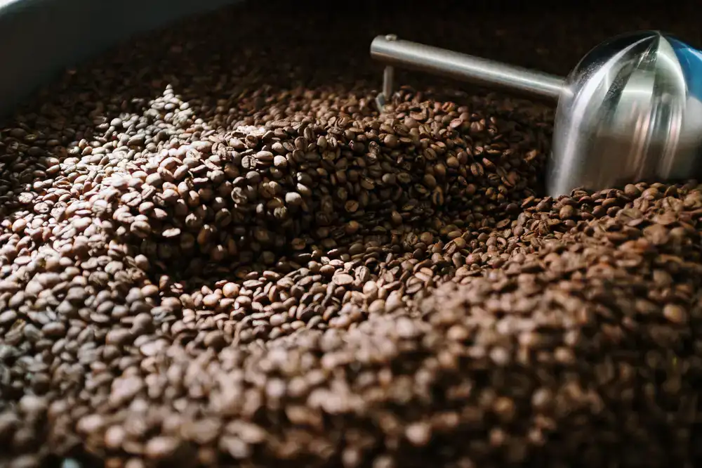 Roasting equipment and fresh beans inside our facility